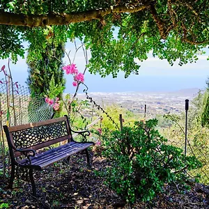 tizziri-rural.tenerifehoteles.net/